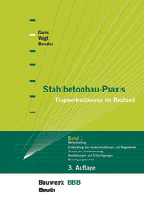 Stahlbetonbau-Praxis: Band 3