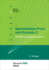 Spannbetonbau-Praxis nach Eurocode 2