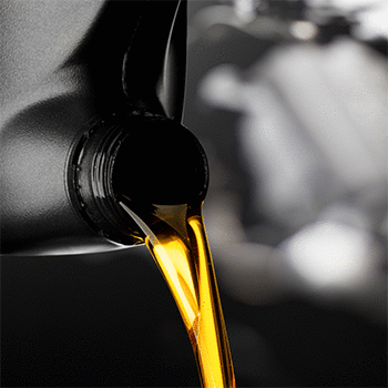 Mineralöl- und Brennstoffnormen online - Gesamtpaket