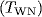 {(}T_{{WN}})