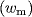 {(}w_{{m}})