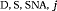 {\vphantom{A}}_{{\rm D}\text{,} {\rm S}\text{,} {\rm SNA}\text{,} j}